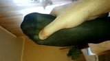 pantyhose toes my wife snapshot 3