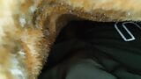 Masturbation in Blanket, Hairy Penis, Hairy Ass snapshot 1