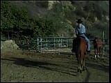 Young beautiful blonde was riding the horse when she has  met handsome cowboy snapshot 1