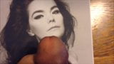 Cum Tribute Bjork snapshot 1