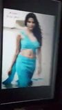 Priya anand hete thoppul navel spugen snapshot 9