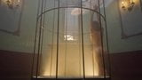 The Girl In The Cage snapshot 7