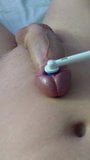 Cepillo de masturbación para los dientes snapshot 2