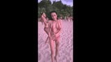 Aziatische ladyboys uit Thailand mietje compilatie snapshot 1