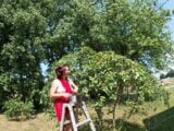 Une brune aux seins nus cueille des cerises dans l'arbre snapshot 3