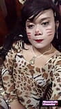 Crossdresser Indo leopard masturbare în ținută sexy snapshot 3