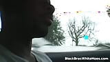 Sexy Big Tits MILF Mira Takes Big Black Cock snapshot 3