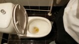 Betrapt hete sexy collega stiekem masturberen na pissen in kantoor toilet tijdens kerstfeest op aftrekkende collega snapshot 4