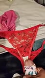 Nieces panties again snapshot 2