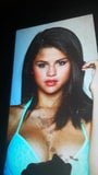 Tribute #05 - Selena Gomez snapshot 5