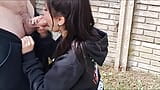 Sloppy blowjob from a beautiful brunette in the park snapshot 6