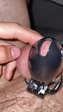 no touching precum in chastity cage snapshot 20