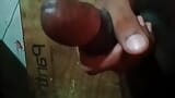 Apni Chhoti Behan Ke Samne Muth Mara Aur Mal Munh Me Gira Diya Indian Desi Homemade Xxx Video Blowjob Masturbation snapshot 8