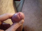 precum snapshot 2