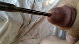 Urethral fuck big piss hole snapshot 9