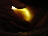 my luminous artificial womb snapshot 2