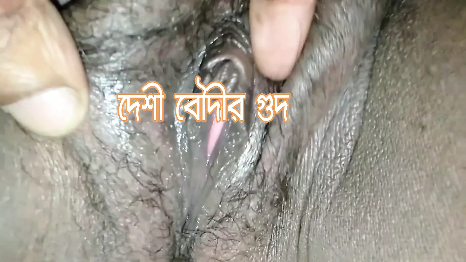Kochi guder golpo