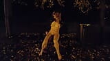 She flashing tits and undresses in a public park at night snapshot 7