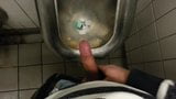 Public masturbation in toillet snapshot 2