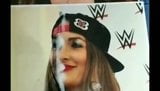 WWE Nikki Bella x Cum omaggio a lei snapshot 14