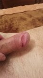 Big dick snapshot 1