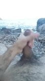 Pau grego peludo gozando na praia snapshot 3