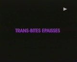 trans bite epaisses snapshot 1