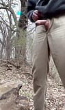 Cum in the woods 3 snapshot 3