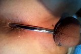 Cock ring,anal ball snapshot 1