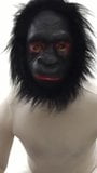 Zentai gorila máscara pene desnudo danza femdom esclavo snapshot 7