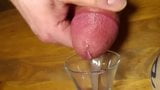 Cum into shot glass snapshot 2