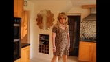 Sindy in leopard print flared mini dress snapshot 1