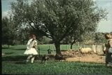 Грецьке порно oi vlaxoi epimenoyn ellinika (1984) snapshot 4