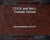 Cock trample crush 524 snapshot 1