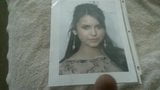 정액 찬사 nina dobrev snapshot 1