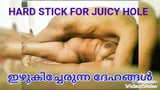 HARD STICK FOR JUICY HOLE snapshot 1