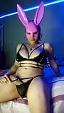 Trans bunny jerks off her huge cock - Shemale Porn snapshot 6