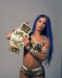 WWE - Sasha Banks and Bayley posing with the Tag Team titles snapshot 1