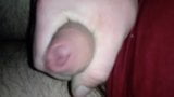 Schwanz, Penis, weißer Schwanz snapshot 9