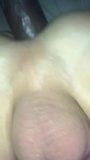 closeup anal ayam hitam snapshot 9