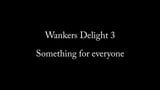 Wanker's Delight 3 snapshot 1