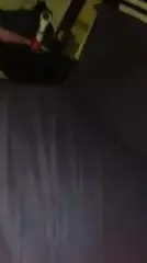 Rachida La Pute: Moroccan Amateur Amateur Porn | xHamster