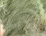 Merilis video pribadi marcela remaja pirang naif yang difilmkan oleh pamannya… snapshot 20