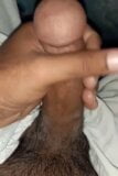 my dick snapshot 2